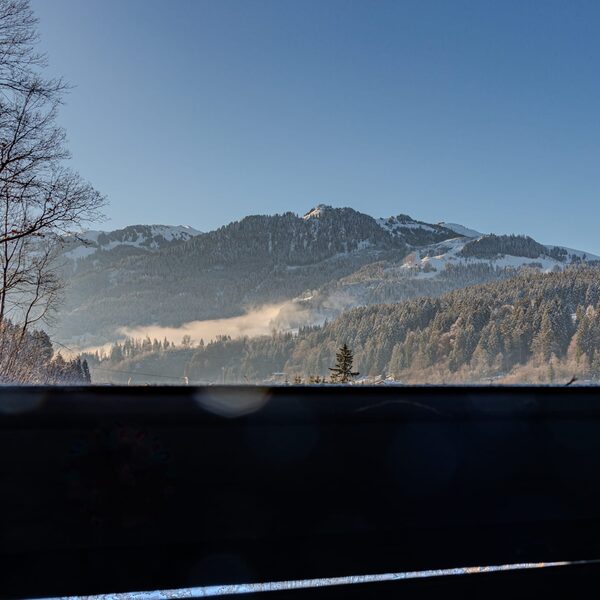 Penthouse Kitzbüheler Horn